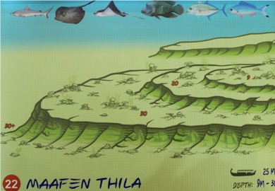 Maafen Thila
